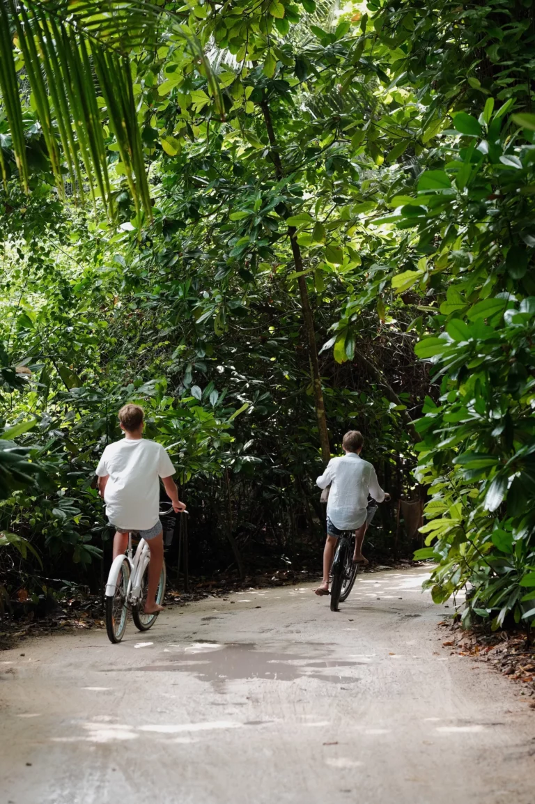 Bicycles and tricycles